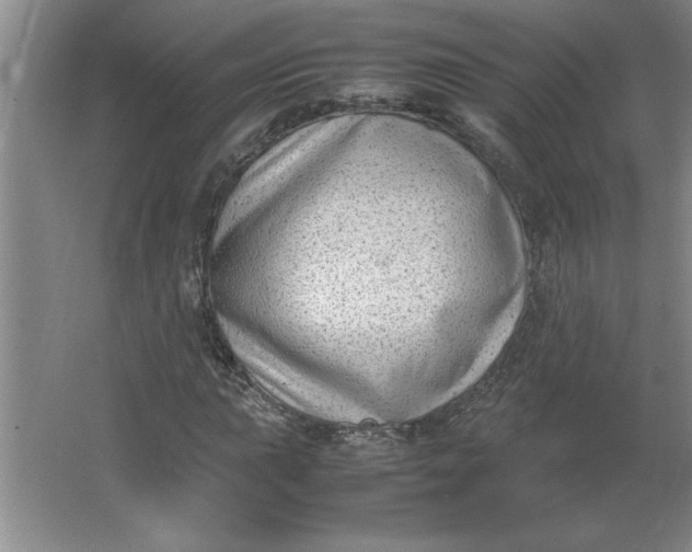 X0000064061015200602101524
