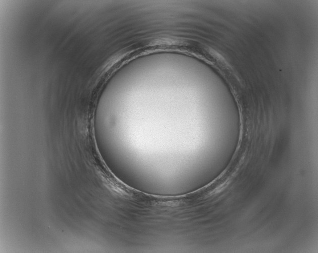 X0000064061017200602101524