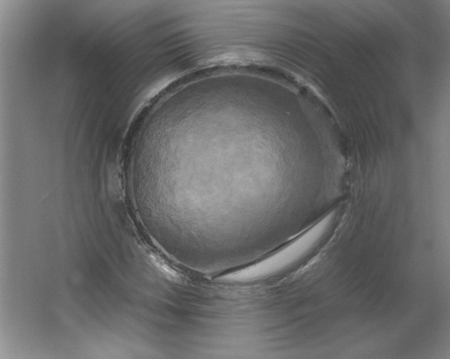 X0000064061018200602101525