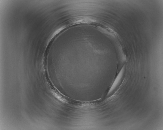 X0000064061026200602101525