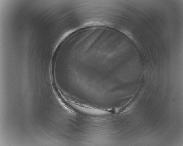 X0000064061030200602101525