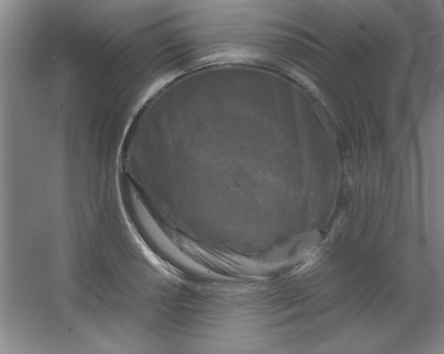 X0000064061034200602101525