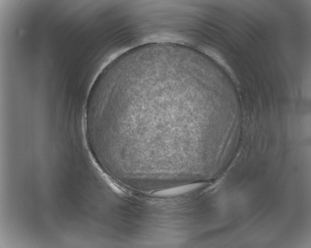 X0000064061040200602101525