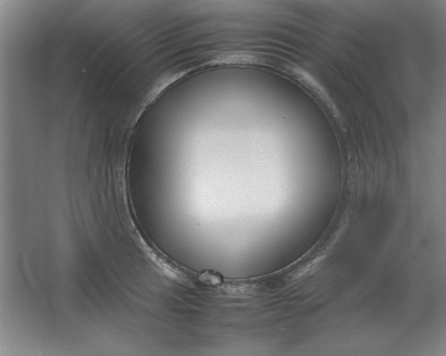 X0000064061041200602101525