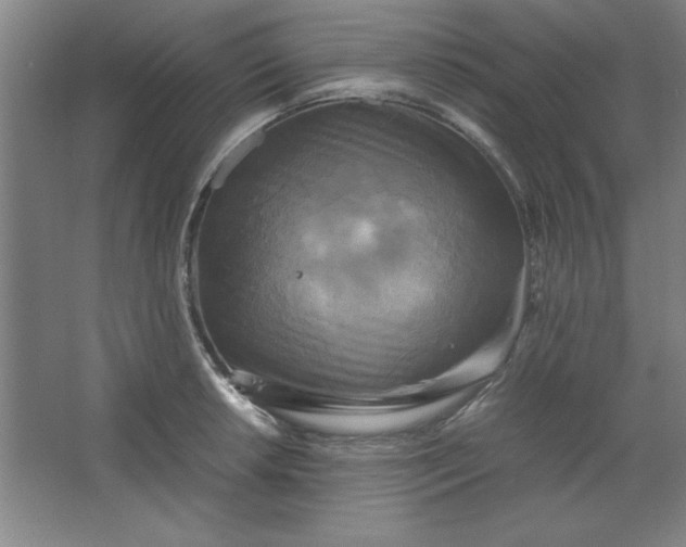 X0000064061042200602101525