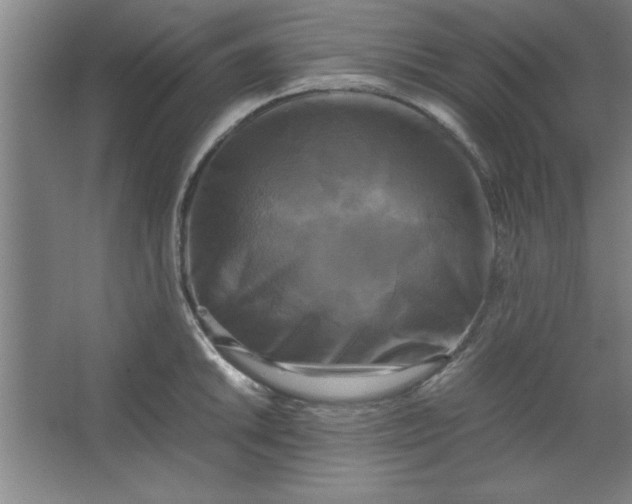 X0000064061046200602101525