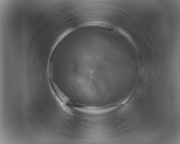 X0000064061050200602101525