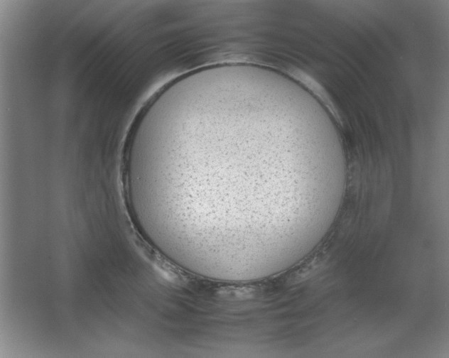 X0000064061051200602101525