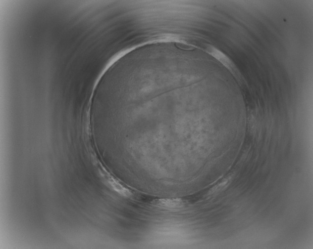X0000064061052200602101525