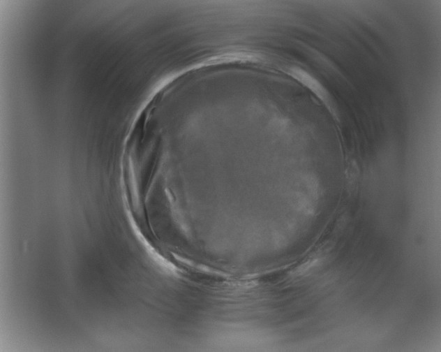 X0000064061055200602101525
