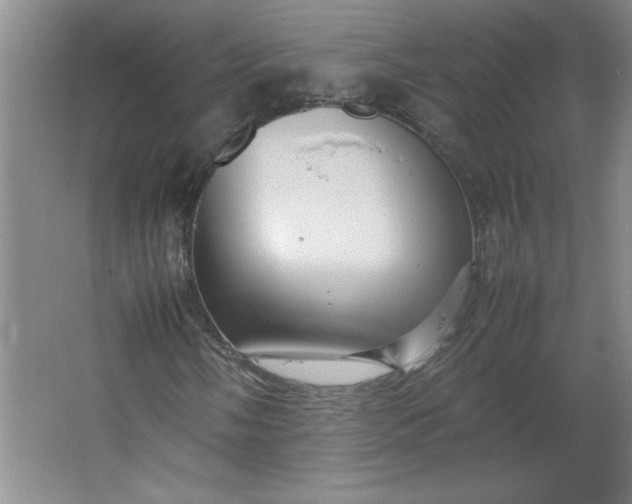 X0000064061058200602101524