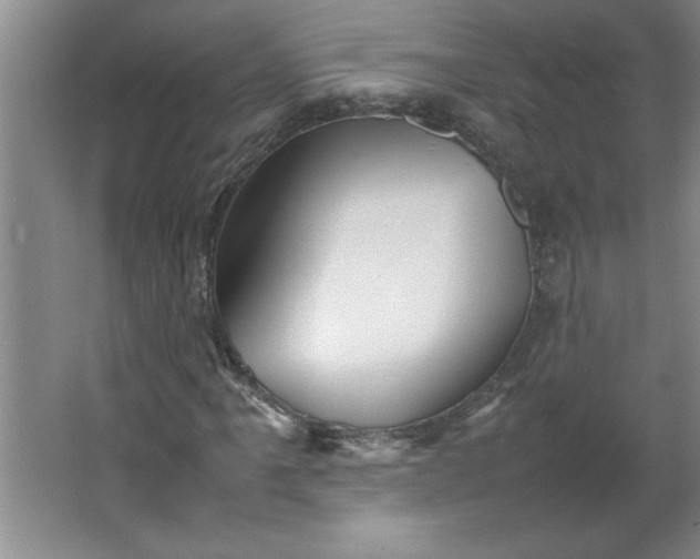 X0000064061061200602101524