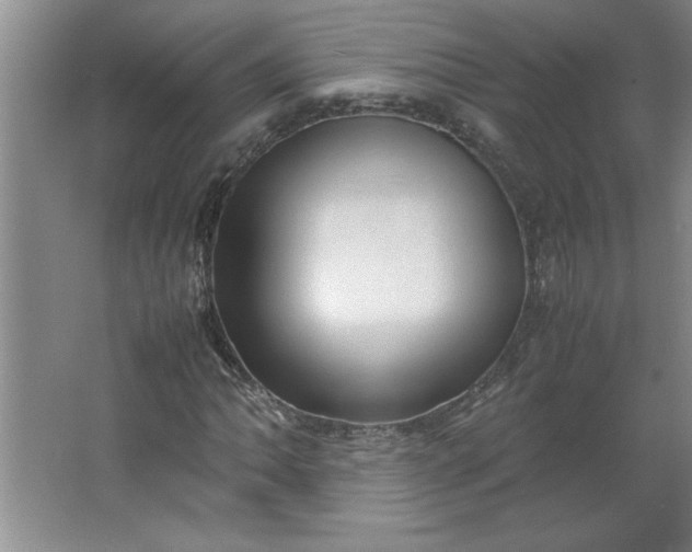 X0000064061062200602101524