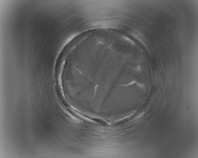 X0000064061071200602101524