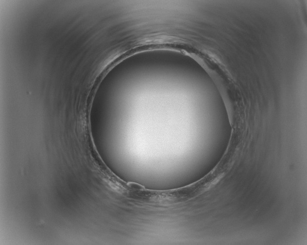 X0000064061073200602101524