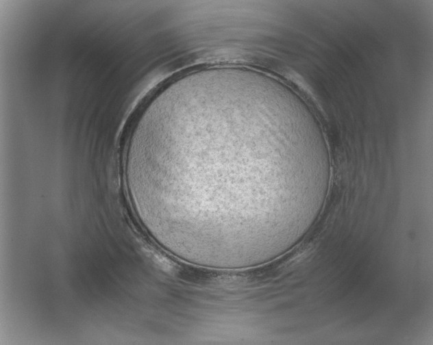 X0000064061075200602101524