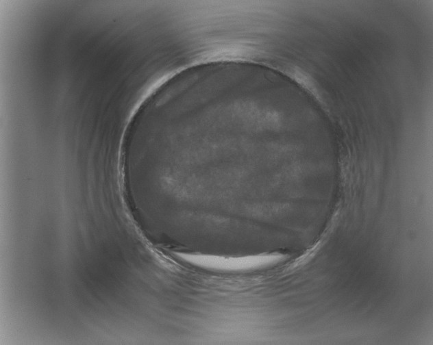 X0000064061077200602101524