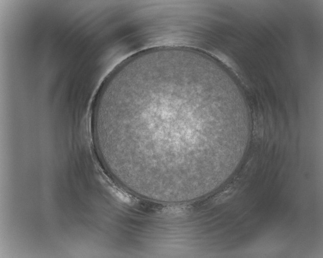X0000064061078200602101524