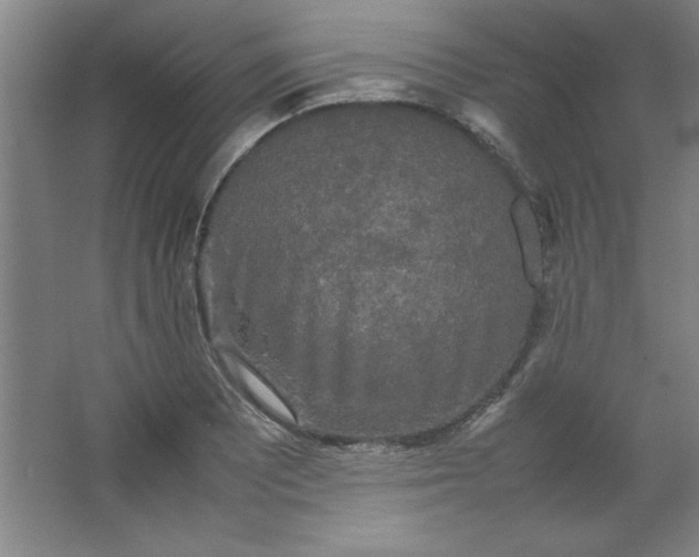 X0000064061081200602101524