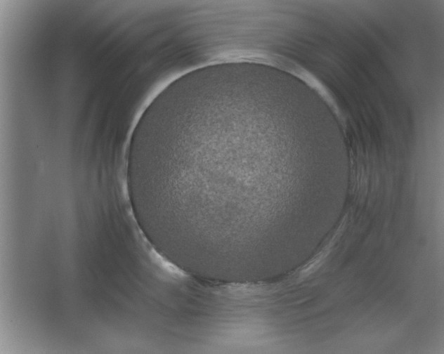 X0000064061102200602101524