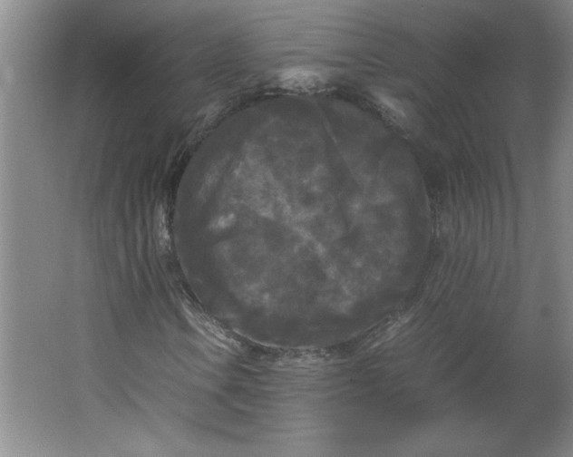 X0000064061106200602101523