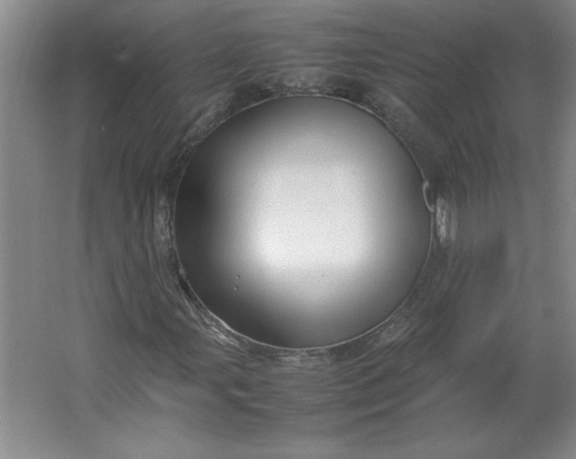 X0000064061107200602101523