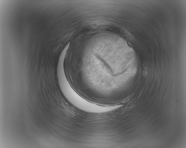X0000064061108200602101523