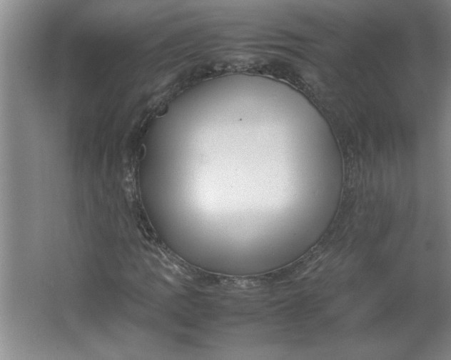 X0000064061109200602101523