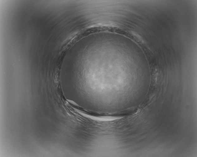X0000064061110200602101523