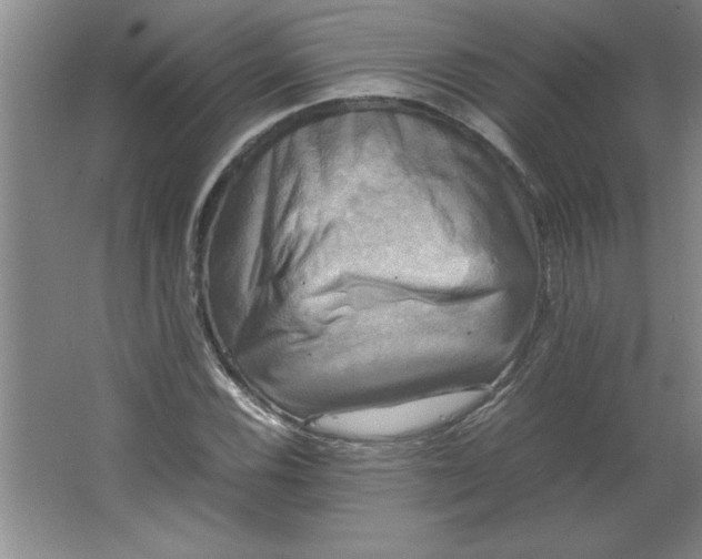 X0000064061116200602101523