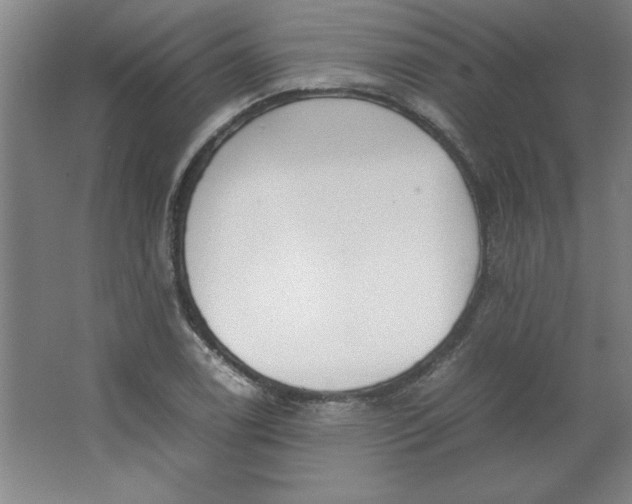 X0000064061122200602101523