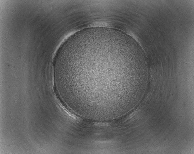 X0000064061123200602101523