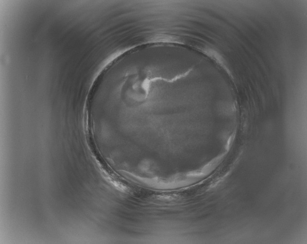 X0000064061125200602101523