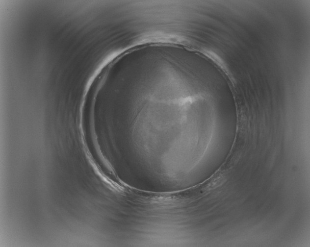 X0000064061128200602101523