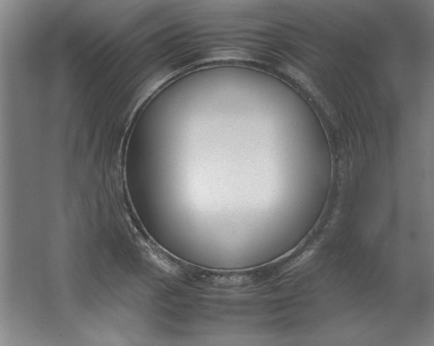 X0000064061129200602101523