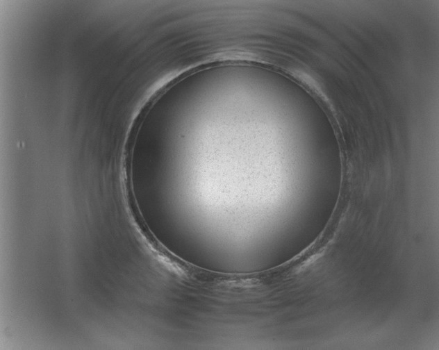 X0000064061133200602101523