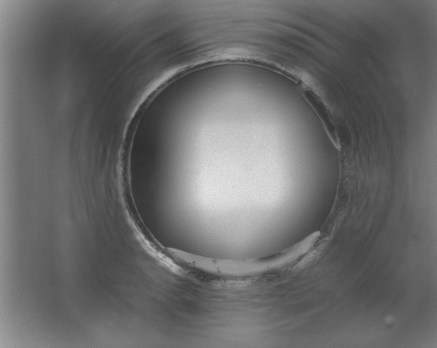X0000064061134200602101523