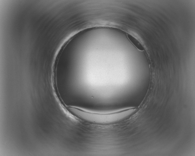 X0000064061136200602101523