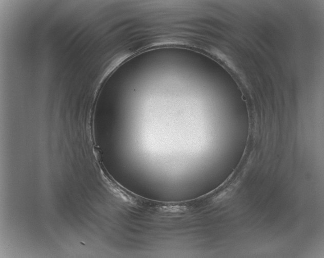 X0000064061137200602101523