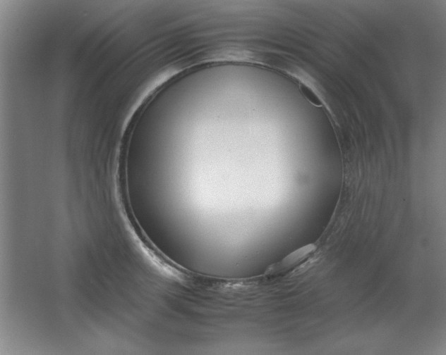 X0000064061139200602101523