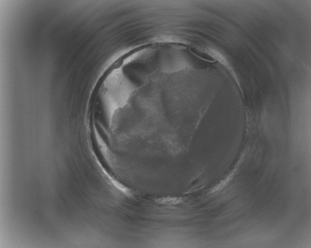 X0000064061141200602101523