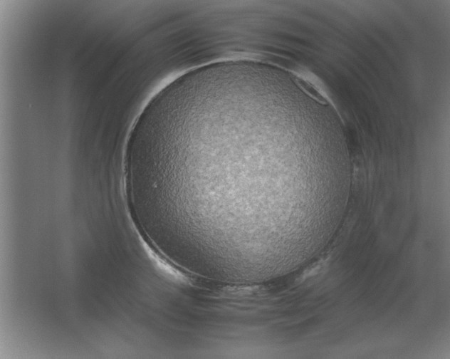 X0000064061143200602101523