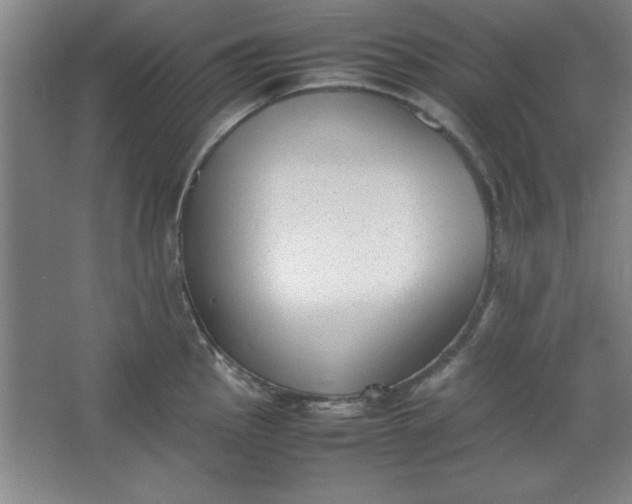 X0000064061145200602101523