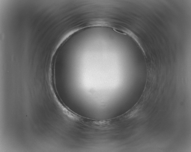 X0000064061147200602101523