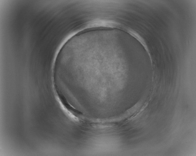 X0000064061152200602101524