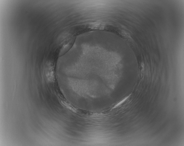 X0000064061154200602101523