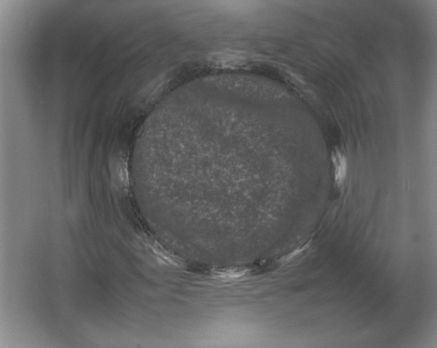 X0000064061155200602101523