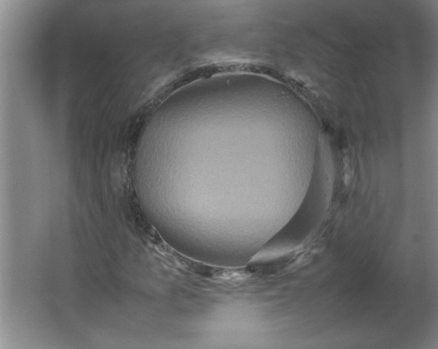 X0000064061157200602101523