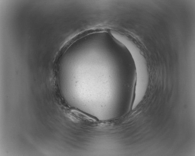 X0000064061160200602101523