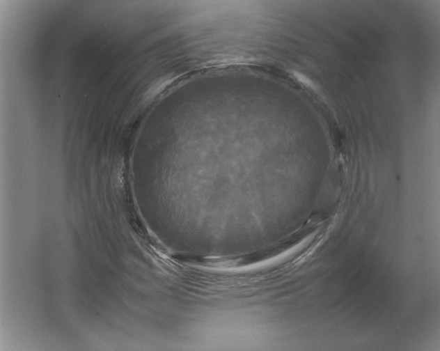 X0000064061161200602101523
